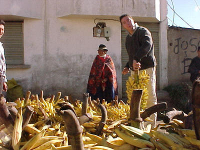 platanos