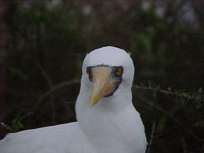 u/kristofgeirnaert/medium/162416.MVC900F.jpg