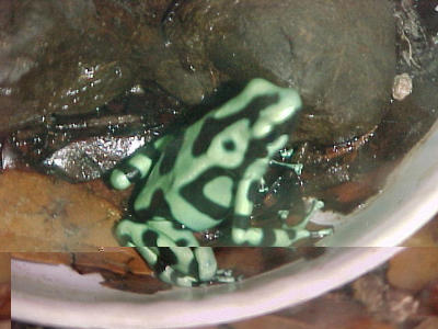 Costa Rica, San Jose
