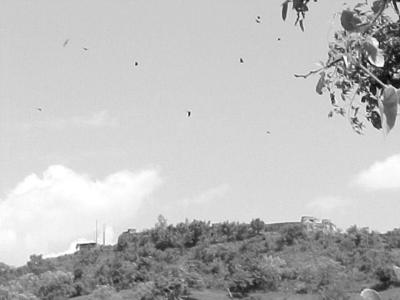 El Fortin