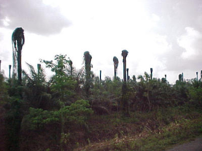 MVC-017F.JPG
