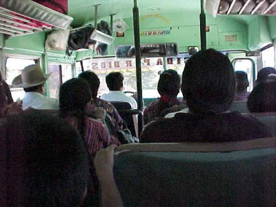 in de kots-kippenbus