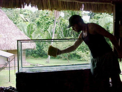 cleaning...