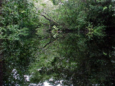 full of little rivers