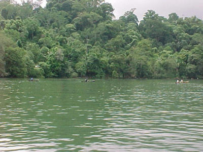 natuurstilte
