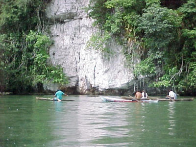 mojarravisssers