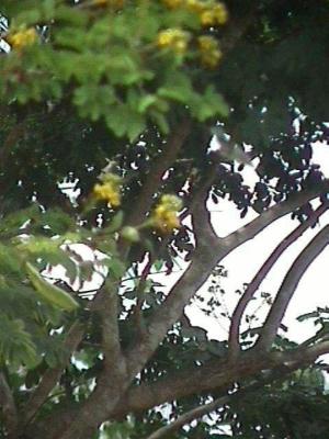 OpxFIDISA045.jpg