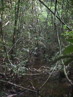 OpxFIDISA047.jpg