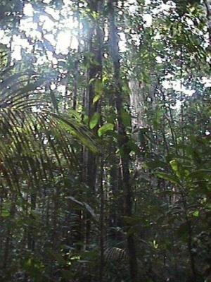 OpxFIDISA048.jpg