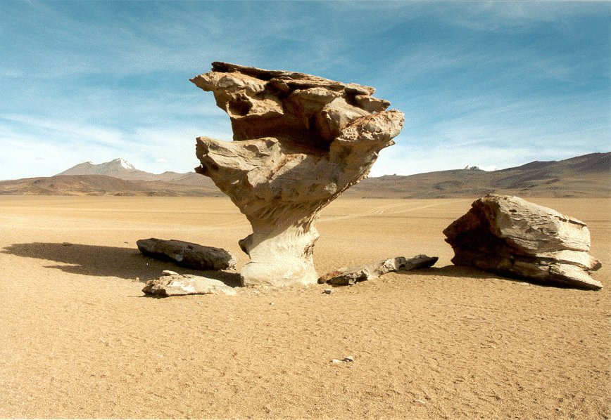 el arbol de piedra