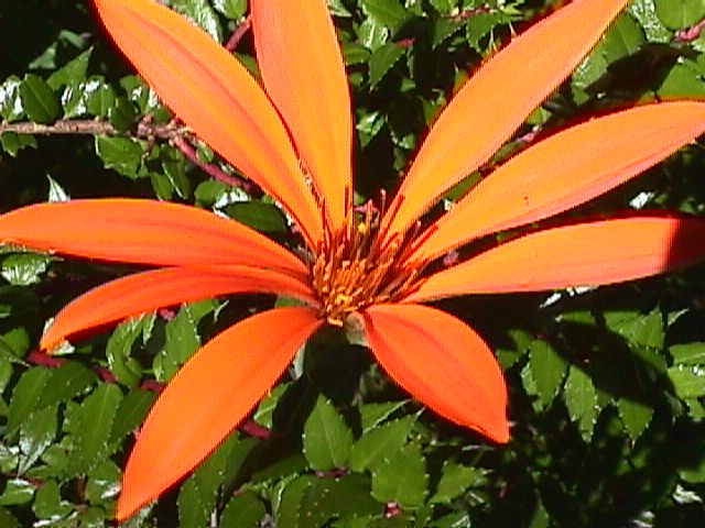 MVC-018F.JPG