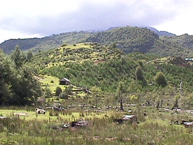 MVC-012F.JPG