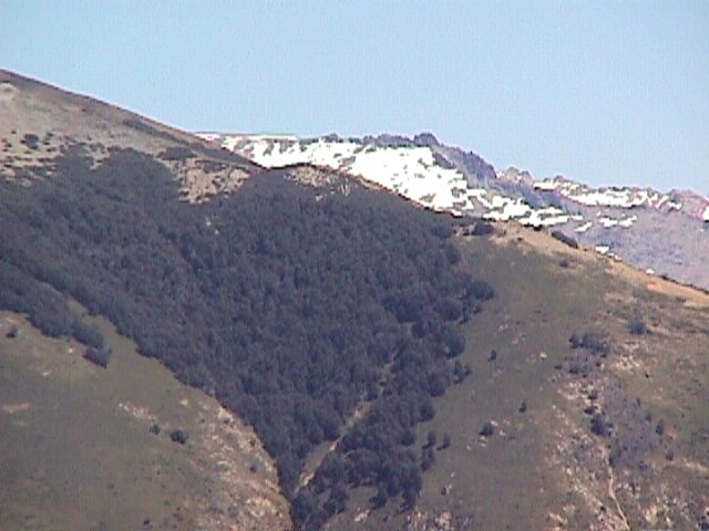 MVC-024F.JPG
