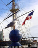 Inner Harbor Gull-Flag