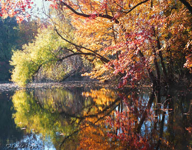 Cider Mill Mirror Pond (traditional photo)