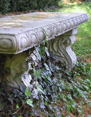Bench Ivy