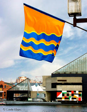 Aquarium Flag