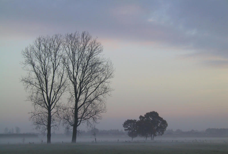 Turnhout - Morning - 14.11.2000