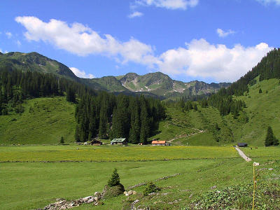 Kleinwalsertal - Melköde
