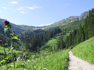 Kleinwalsertal - Ins Brgunttal