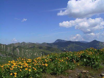 Kleinwalsertal - Am Brgunthoch Alp