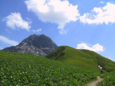 Kleinwalsertal - Am Bärgunthoch Alp
