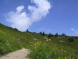 Kleinwalsertal - Richtung Ifen