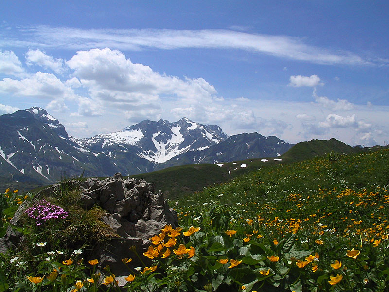 Kleinwalsertal - Am Widderstein