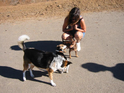 101-0125_IMG.JPG