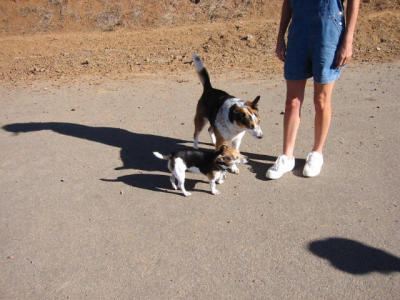101-0126_IMG.JPG