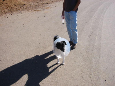 101-0127_IMG.JPG