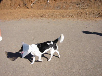 101-0131_IMG.JPG