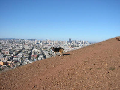 101-0132_IMG.JPG