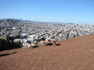 101-0133_IMG.JPG