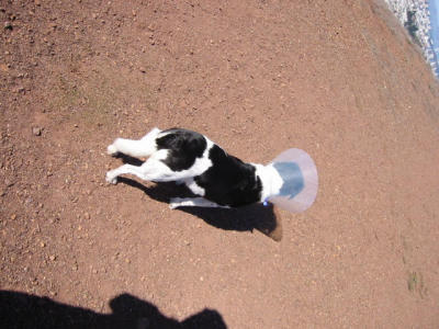 101-0135_IMG.JPG