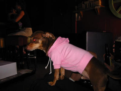 101-0137_IMG.JPG