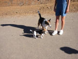 101-0126_IMG.JPG