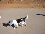 101-0131_IMG.JPG