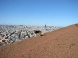101-0132_IMG.JPG
