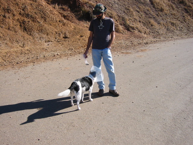 101-0130_IMG.JPG