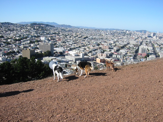 101-0134_IMG.JPG