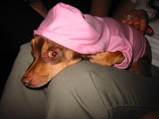 101-0143_IMG.JPG