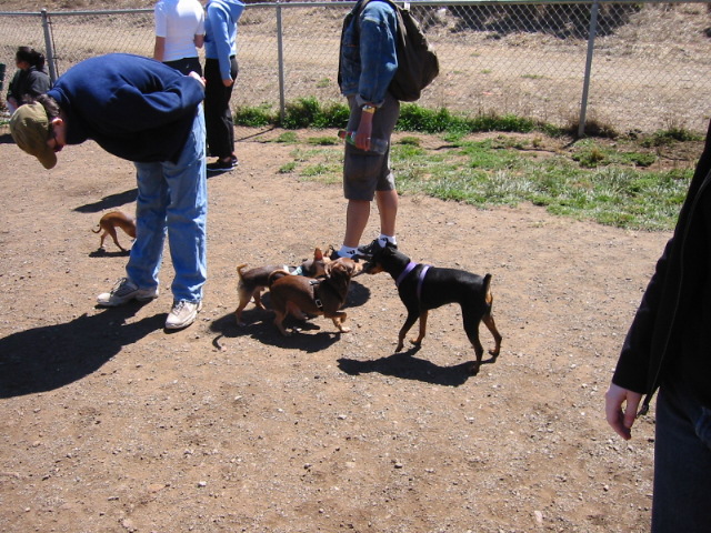 100-0074_IMG.JPG
