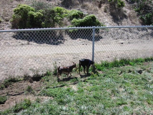100-0075_IMG.JPG