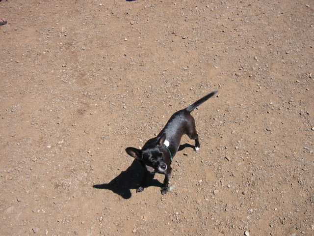 100-0079_IMG.JPG