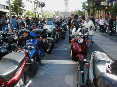 P1010098.JPG