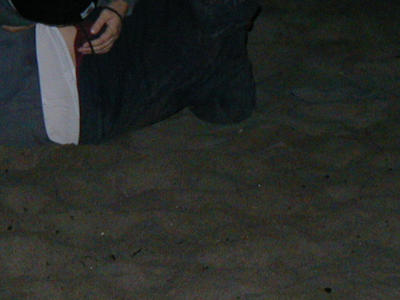 P1010067.JPG