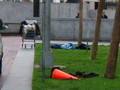 P1010001.JPG