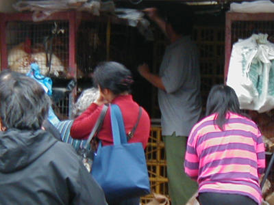 P1010005.JPG