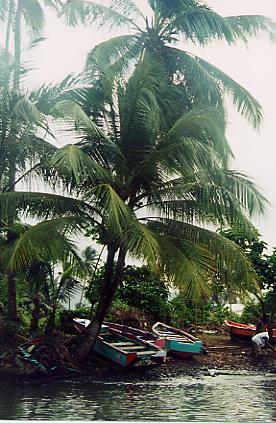 010223_Dominica